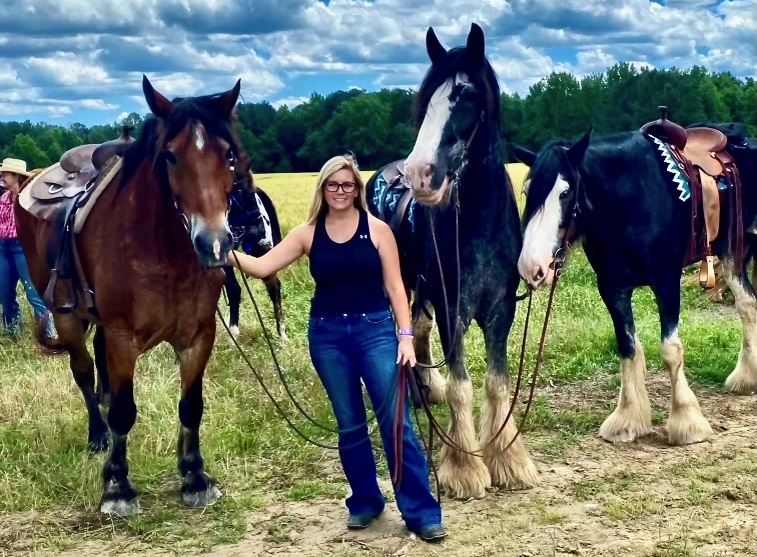 Horse Boarding in Raleigh, NC  - Dead Broke Farm