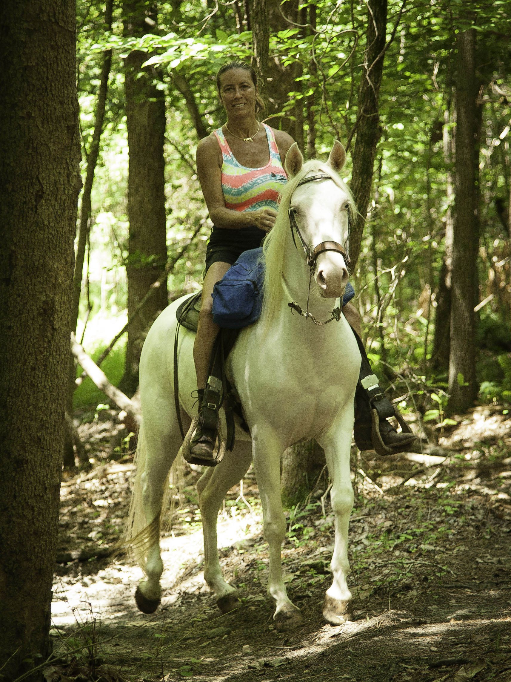 Cremello Horse Ridden on Trails