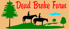 Horseback Riding - Raleigh, NC - Dead Broke Farm