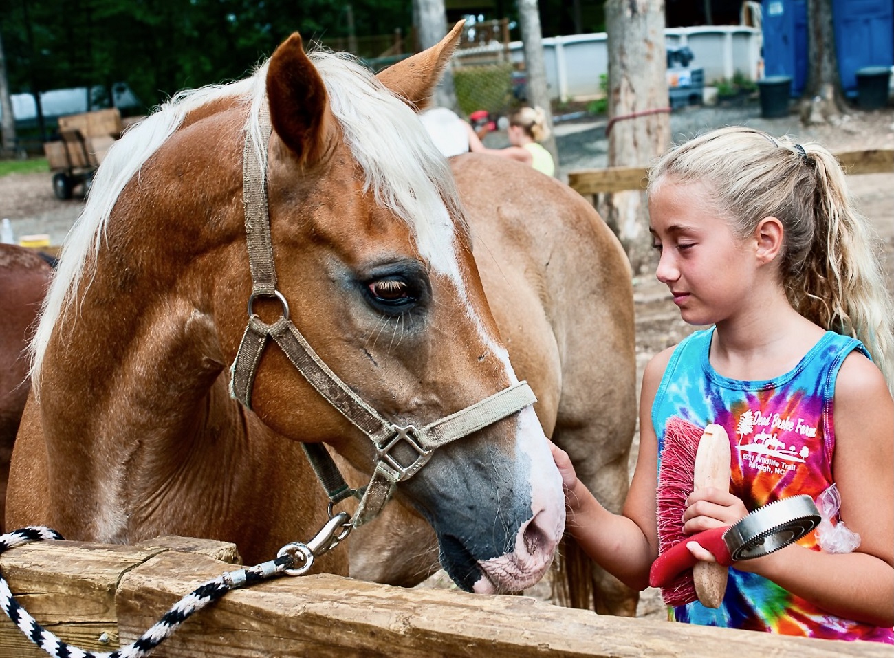 Horse and Pony Rides for Festivals in NC - Dead Broke Farm